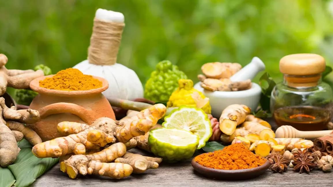 Ayurveda and Traditional Hindu Wellness Practices: An Ancient Path to Modern Health — Culture