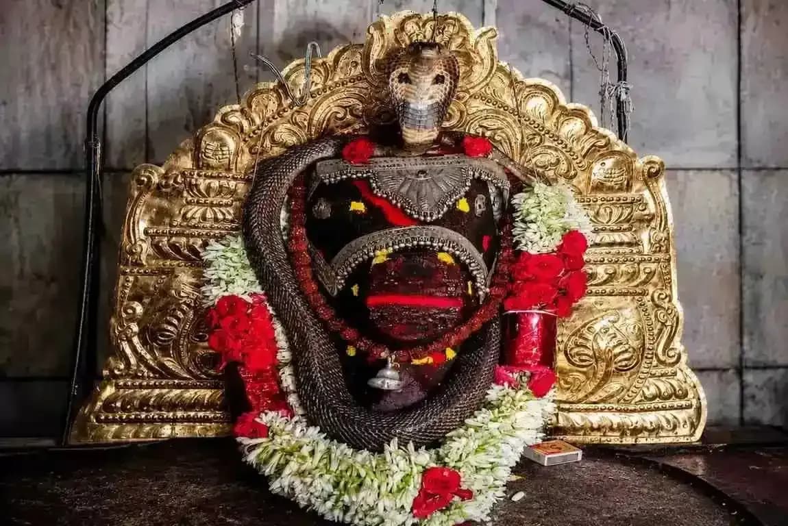 అమావాస్య వేళ బసప్ప స్వామి ఆలయంలో అద్భుతం: దర్శనమిచ్చిన నాగుపాము | కళ్యాణదుర్గం