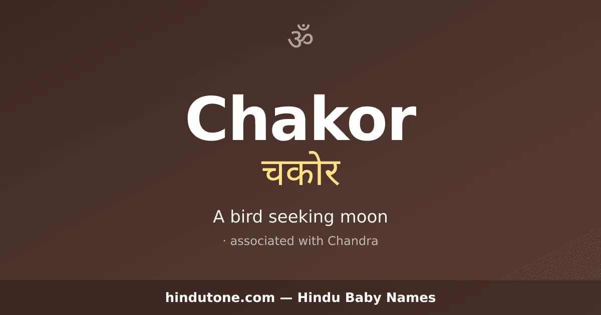 Chakor