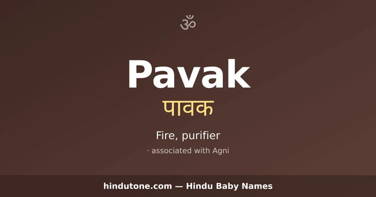 Pavak
