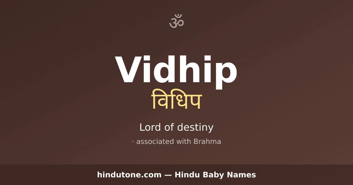 Vidhip