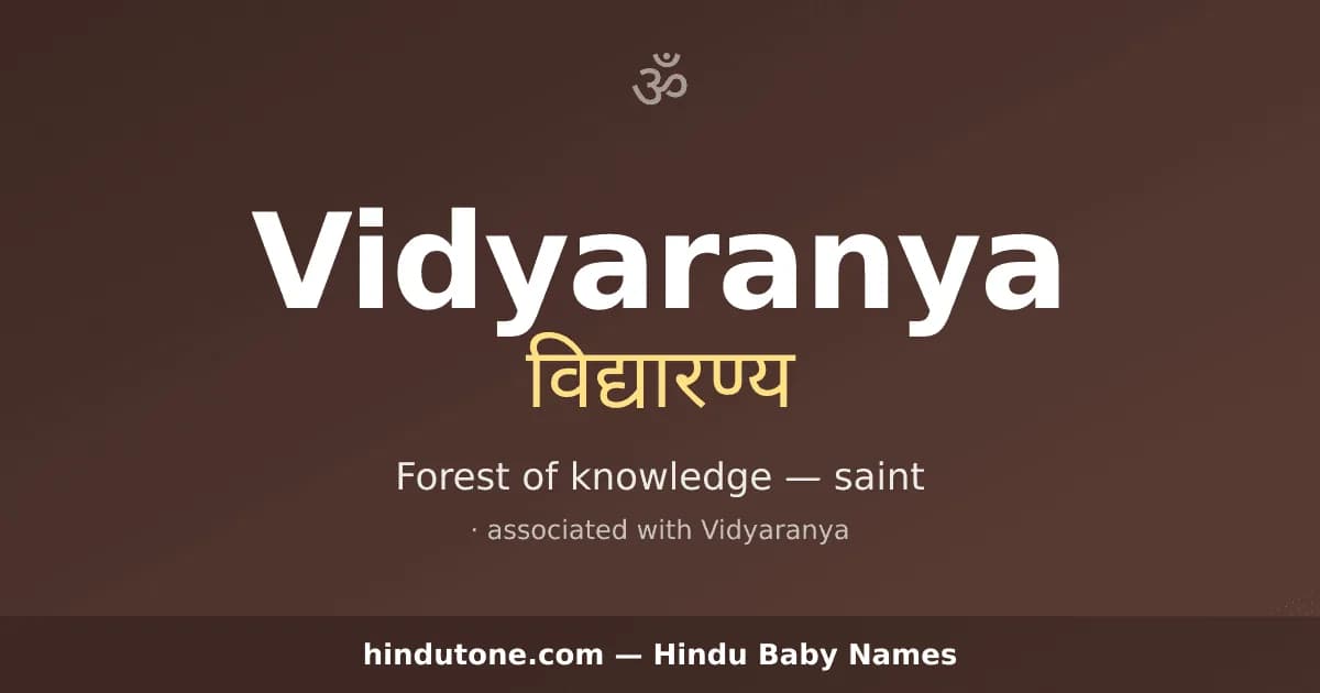 Vidyaranya — Hindu Boy Names with V
