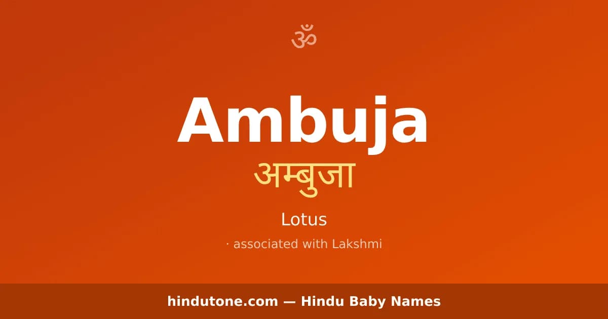 Ambuja