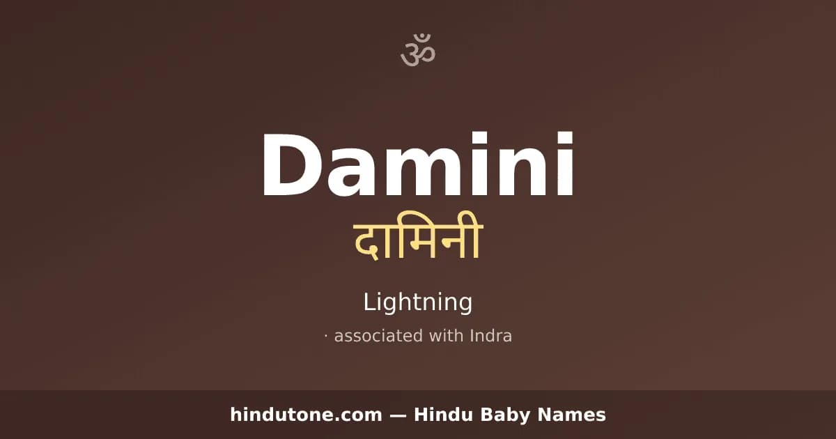 Damini