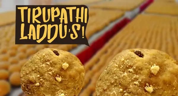 Importance of Thirulmala Laddu to Hindus: