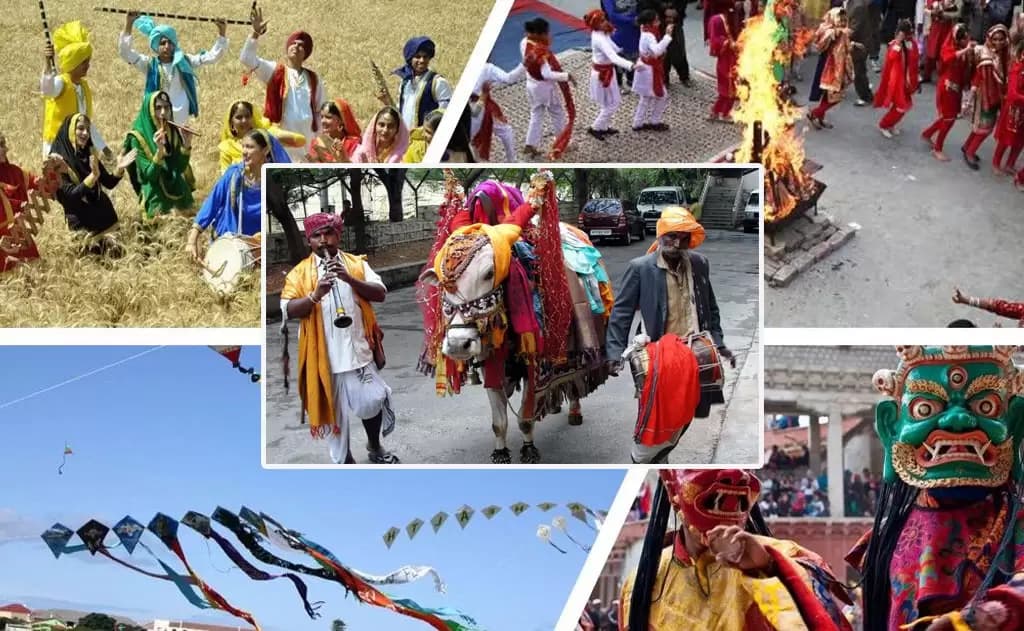 Celebrating Pongal Across India: Diverse Names, One Spirit