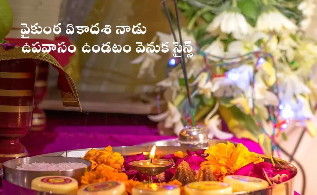 Nirjala Ekadashi 2026: Vrat Rules, Benefits & Waterless Fast Guide (June 25) — Festivals
