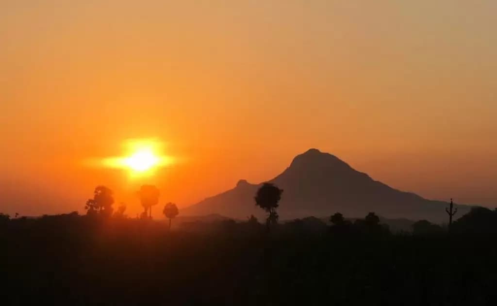 The Healing Power of Arunachala: Stories of Devotees — Culture