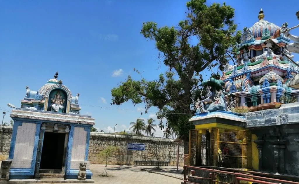 Sri Abhaya Varadeeswarar Temple: A Sacred Haven for Aridra Nakshatra Natives