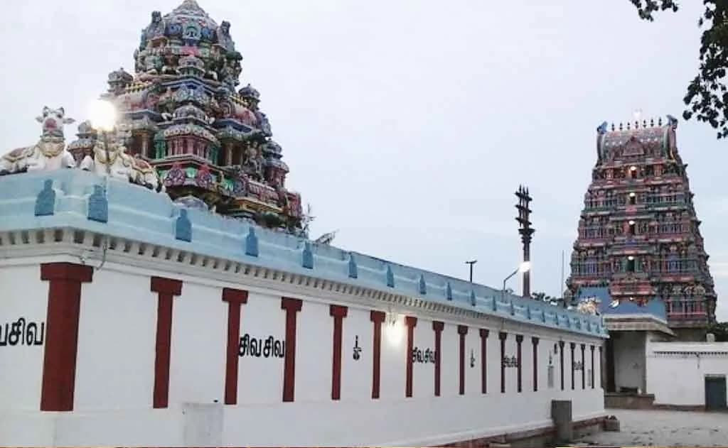 Spiritual Blessings for Swati Nakshatra Natives at Sri Dhatheeswarar Temple, Chithukadu