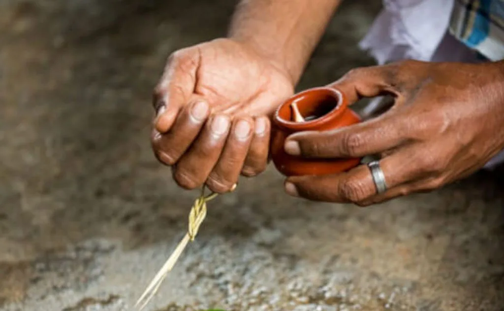 Why is Dharba (Holy Grass) is used as Ring during on our Auspicious and Inauspicious Occasions? — Traditions