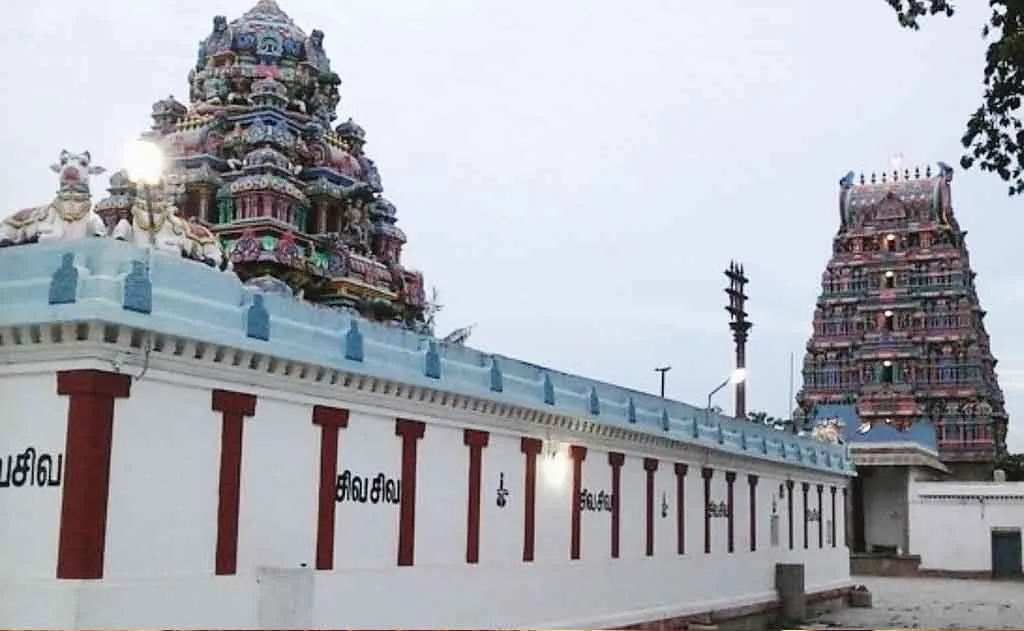 Spiritual Blessings for Swati Nakshatra Natives at Sri Dhatheeswarar Temple, Chithukadu — Temples