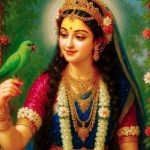 The Divine Journey of Shuka