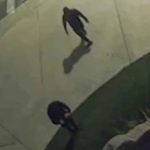 BAPS Temple Vandalism in Chino Hills