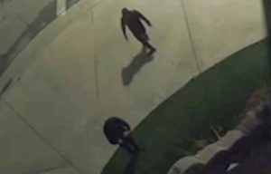 BAPS Temple Vandalism in Chino Hills