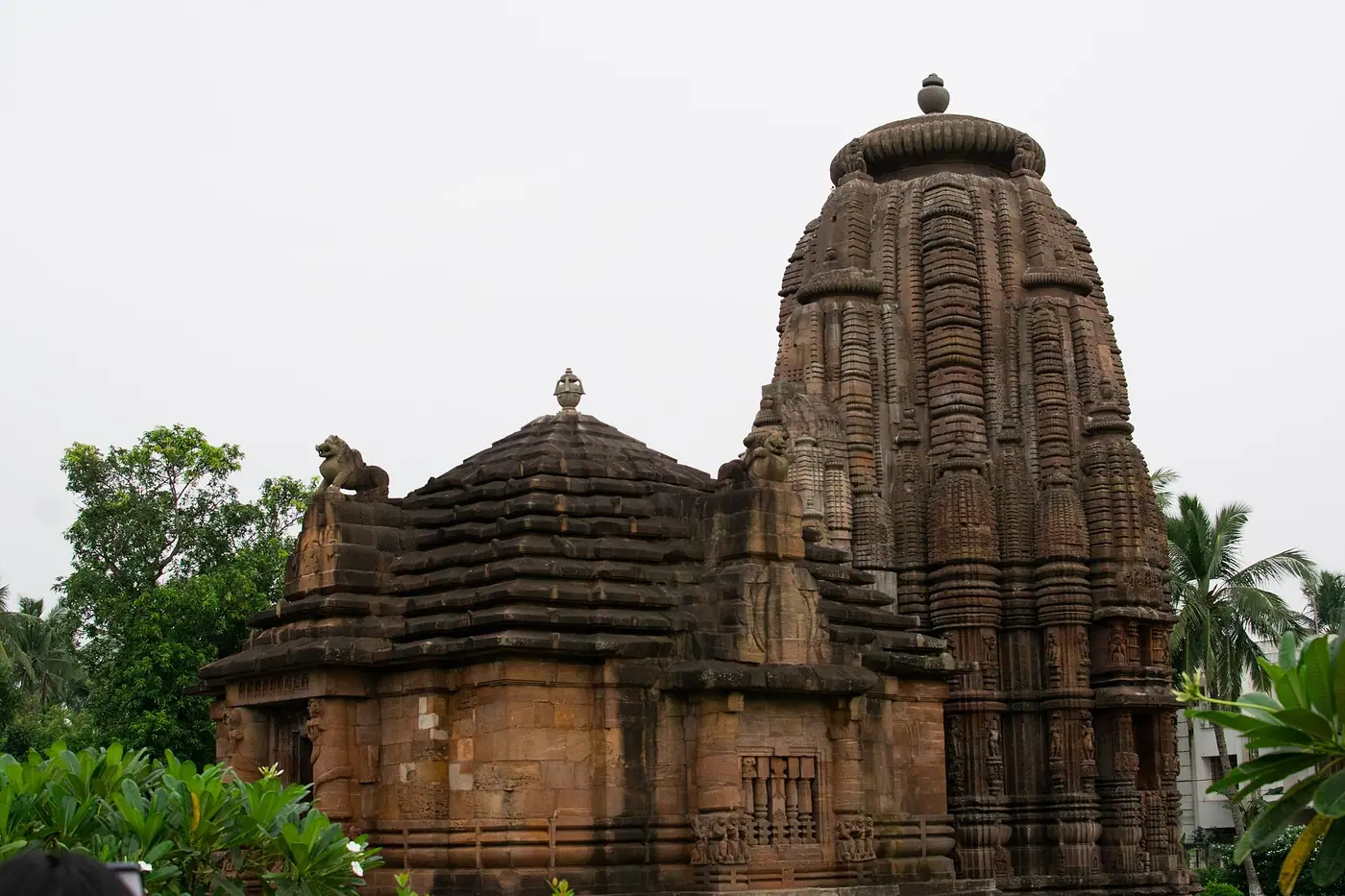 Rajarani Temple, Odisha