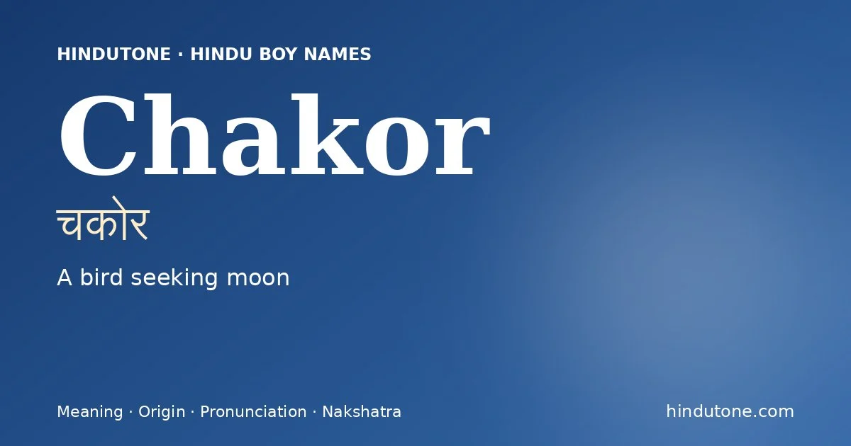 Chakor