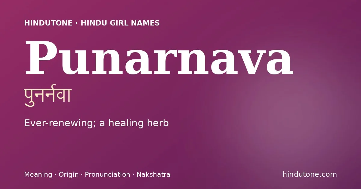 Punarnava